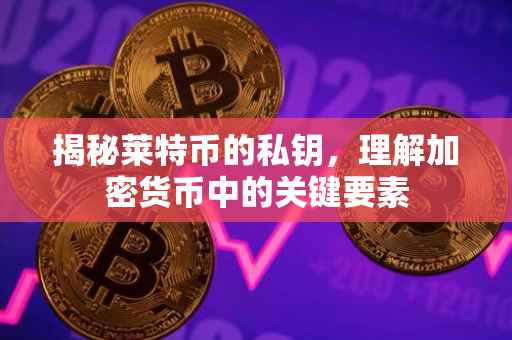 揭秘莱特币的私钥，理解加密货币中的关键要素