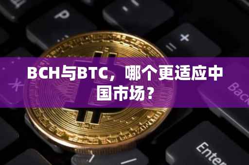 BCH与BTC，哪个更适应中国市场？