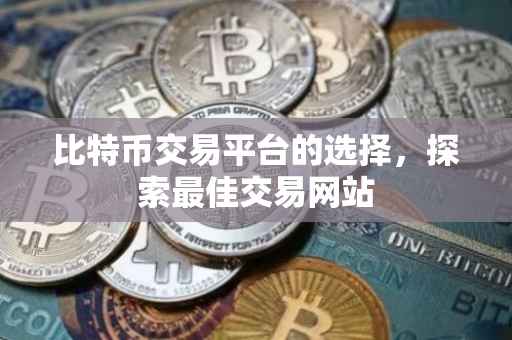 比特币交易平台的选择，探索最佳交易网站