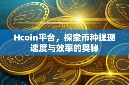 Hcoin平台，探索币种提现速度与效率的奥秘