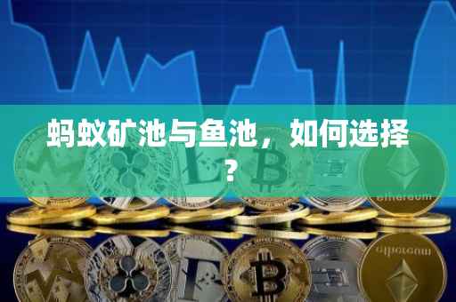 蚂蚁矿池与鱼池，如何选择？