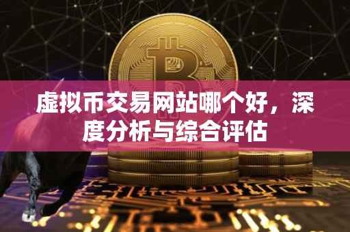 虚拟币交易网站哪个好，深度分析与综合评估