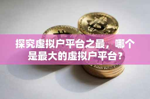 探究虚拟户平台之最，哪个是最大的虚拟户平台？