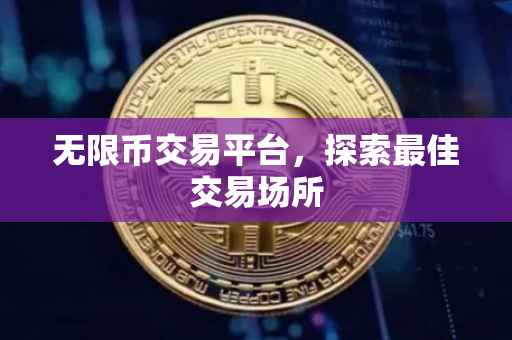 无限币交易平台，探索最佳交易场所