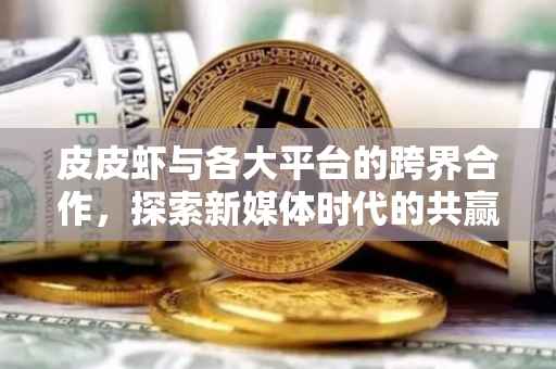 皮皮虾与各大平台的跨界合作，探索新媒体时代的共赢之路