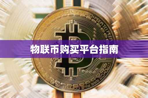 物联币购买平台指南