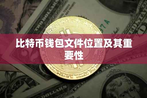比特币钱包文件位置及其重要性