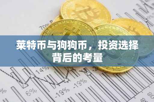 莱特币与狗狗币，投资选择背后的考量