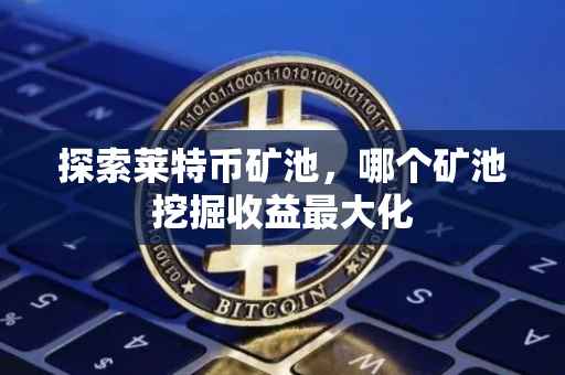 探索莱特币矿池，哪个矿池挖掘收益最大化