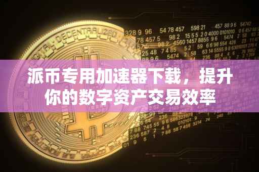 派币专用加速器下载，提升你的数字资产交易效率