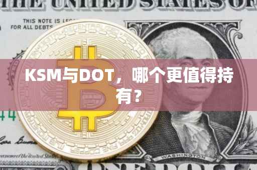 KSM与DOT，哪个更值得持有？