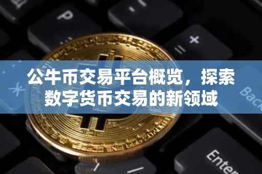 公牛币交易平台概览，探索数字货币交易的新领域