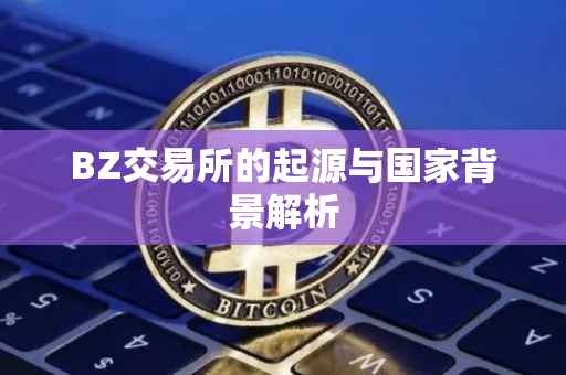 BZ交易所的起源与国家背景解析
