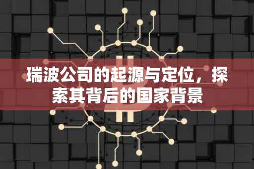瑞波公司的起源与定位，探索其背后的国家背景