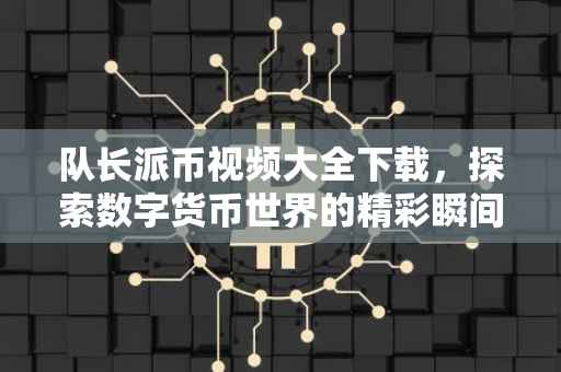 队长派币视频大全下载，探索数字货币世界的精彩瞬间
