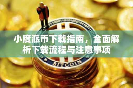 小度派币下载指南，全面解析下载流程与注意事项