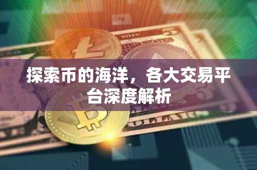 探索币的海洋，各大交易平台深度解析