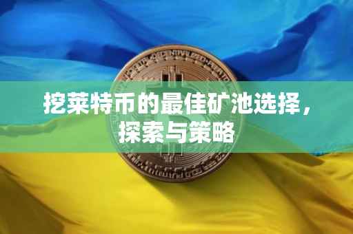 挖莱特币的最佳矿池选择，探索与策略