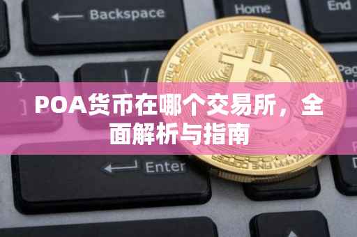 POA货币在哪个交易所，全面解析与指南
