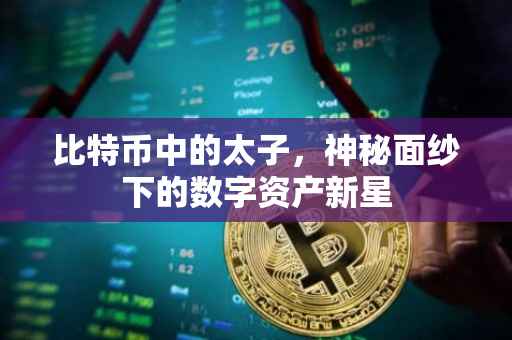 比特币中的太子，神秘面纱下的数字资产新星