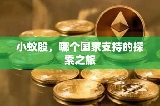 小蚁股，哪个国家支持的探索之旅