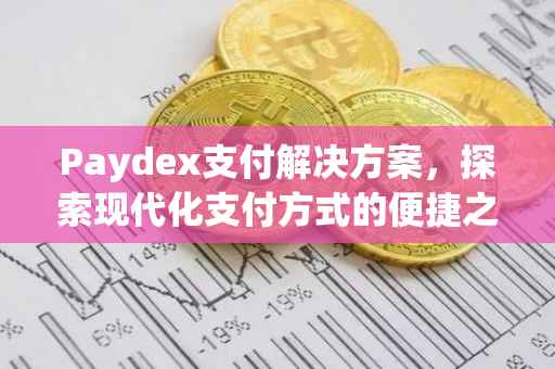 Paydex支付解决方案，探索现代化支付方式的便捷之路
