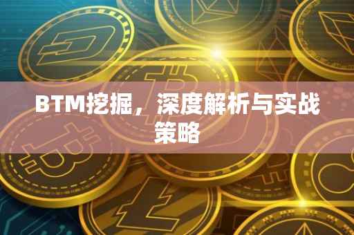 BTM挖掘，深度解析与实战策略