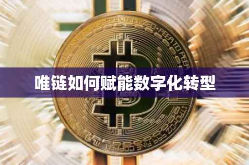 唯链如何赋能数字化转型