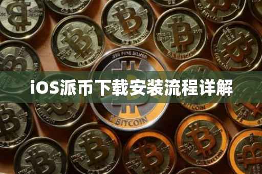 iOS派币下载安装流程详解