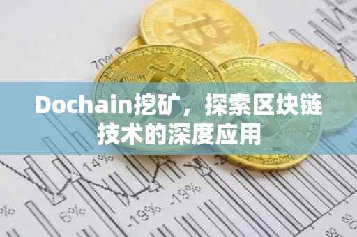 Dochain挖矿，探索区块链技术的深度应用