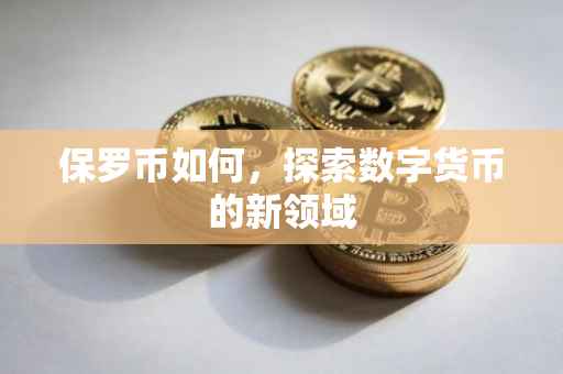 保罗币如何，探索数字货币的新领域