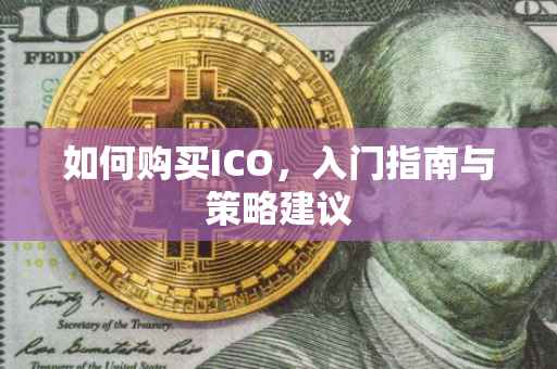 如何购买ICO，入门指南与策略建议