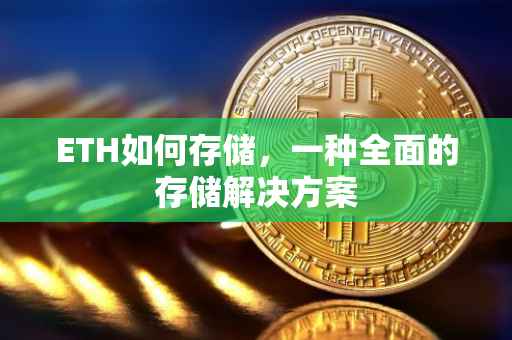 ETH如何存储，一种全面的存储解决方案