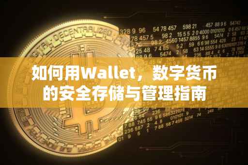 如何用Wallet，数字货币的安全存储与管理指南
