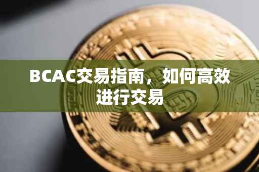 BCAC交易指南，如何高效进行交易