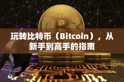 玩转比特币（Bitcoin），从新手到高手的指南