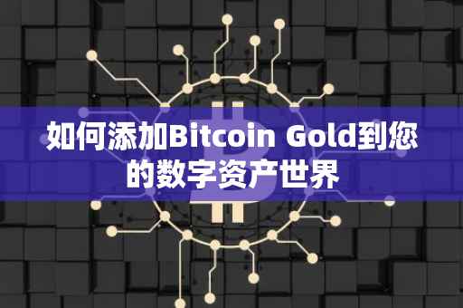 如何添加Bitcoin Gold到您的数字资产世界