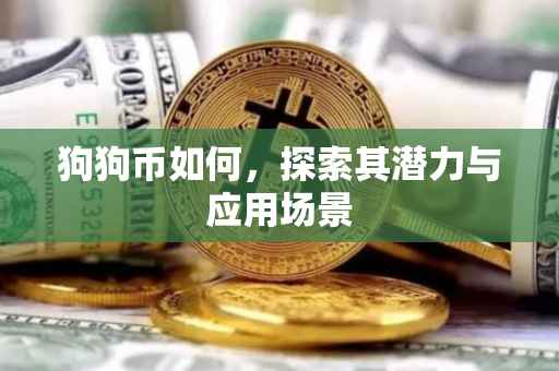 狗狗币如何，探索其潜力与应用场景