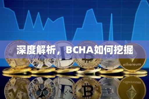 深度解析，BCHA如何挖掘