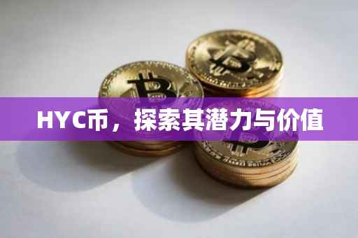 HYC币，探索其潜力与价值