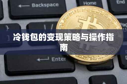冷钱包的变现策略与操作指南