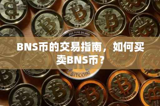 BNS币的交易指南，如何买卖BNS币？