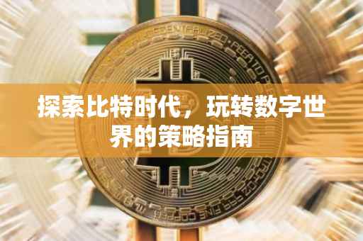 探索比特时代，玩转数字世界的策略指南
