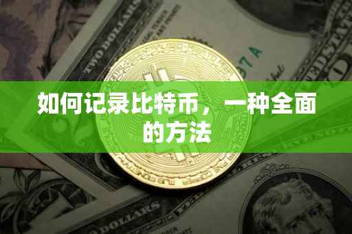 如何记录比特币，一种全面的方法