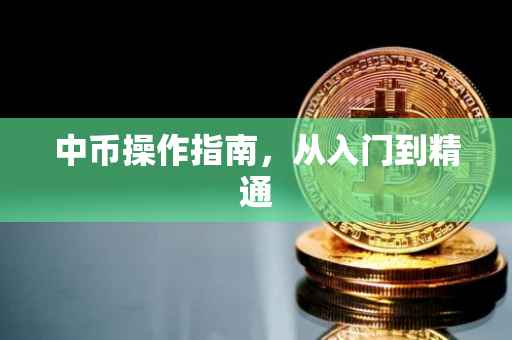 中币操作指南，从入门到精通