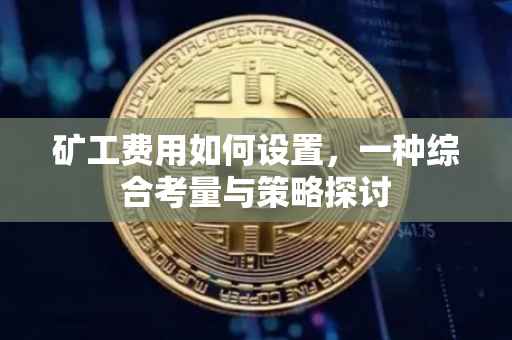 矿工费用如何设置，一种综合考量与策略探讨