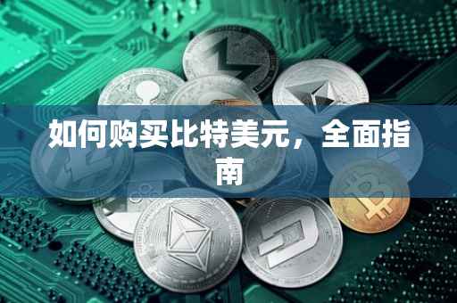 如何购买比特美元，全面指南
