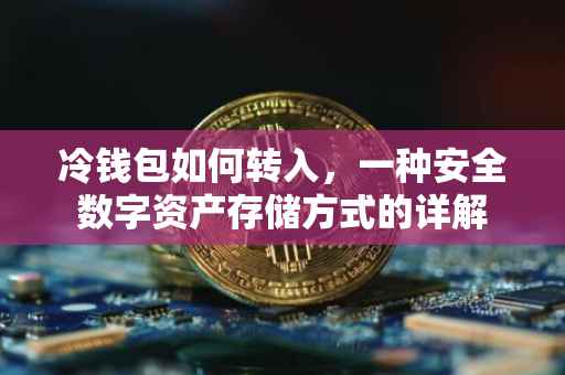 冷钱包如何转入，一种安全数字资产存储方式的详解