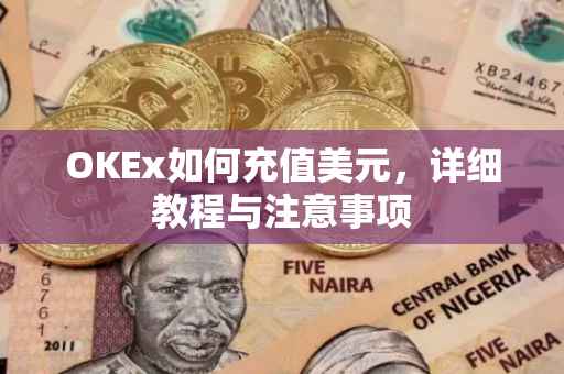 OKEx如何充值美元，详细教程与注意事项