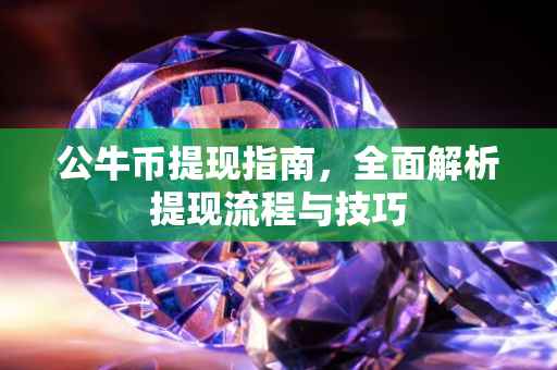 公牛币提现指南，全面解析提现流程与技巧